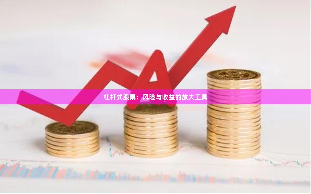 杠杆式股票：风险与收益的放大工具
