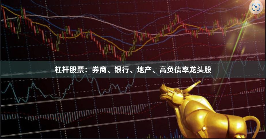 杠杆股票：券商、银行、地产、高负债率龙头股