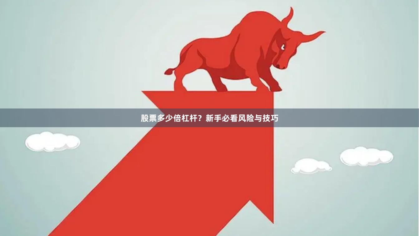 股票多少倍杠杆?新手必看风险与技巧