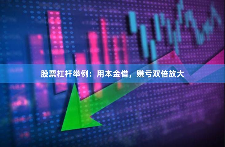 股票杠杆举例：用本金借，赚亏双倍放大
